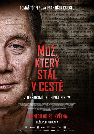 muz ktery stal v ceste